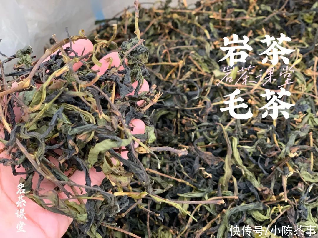 岩茶毛茶|岩茶毛茶，能喝出香清甘活吗？茶掌柜直言不讳：纯粹作秀而已