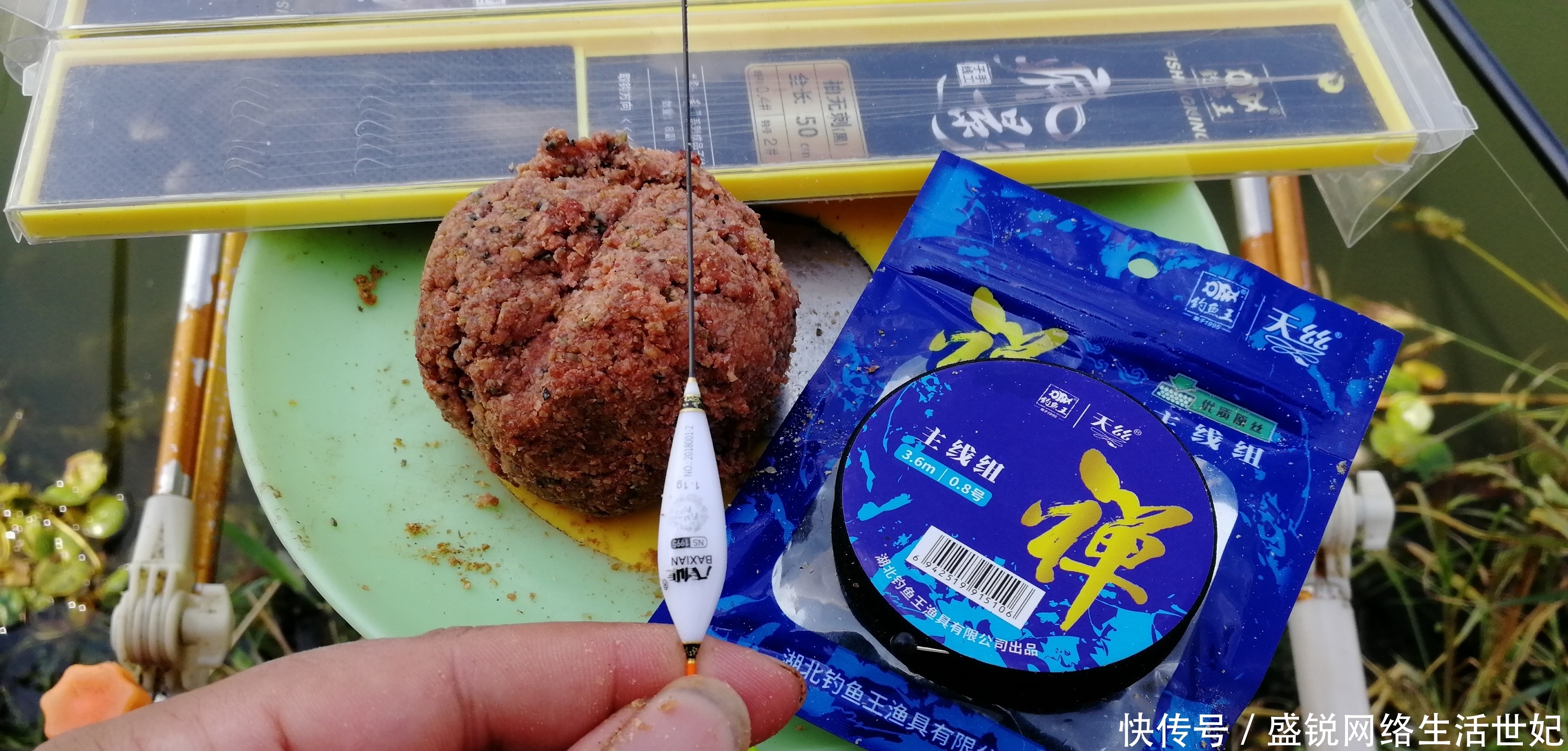 钓不好鱼别总认为是饵料有问题，原因可能出在这，别不信！