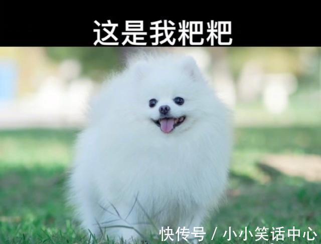 |今日笑话:关于前任,男生和女生不同看法