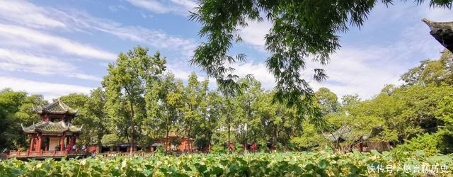  考古|问鼎中华三星堆 陨落庞统古雒城