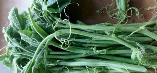 护肤|冬季来了，多吃以下3种食物，排毒护肤，还能延缓身体衰老