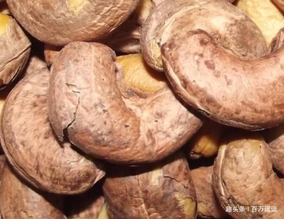 黑芝麻|被李时珍称为”回春宝“，男人可劲儿吃，或越吃肾脏越健康