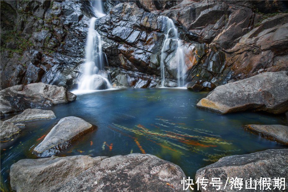 门票|河南专属于你的秋色丨银杏已黄，枫叶转红…撩人秋色等你来赏