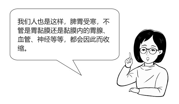 寒则热之热则寒,中和用药解胃炎|大白话说中医第一百五十四期| 寒症