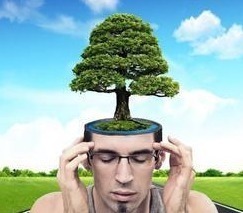 核桃|大脑爱吃的食物里,核桃才排第4名,第1名打死你也不相信是此物