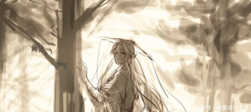 天官赐福|《天官赐福》国师为什么说谢怜飞升太早国家子民没有死绝也是错