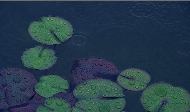 千古名作$元稹吃白居易的醋,写下一首千古名作,白居易只好写千古名作解释