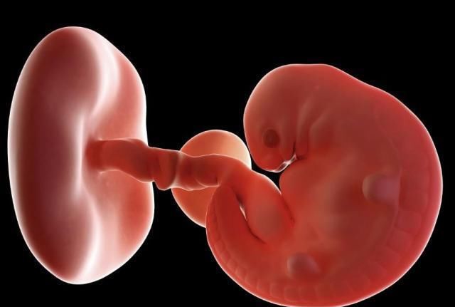 变化|怀孕1~40周，每周身体有何变化？送你一份“孕期清单表”！