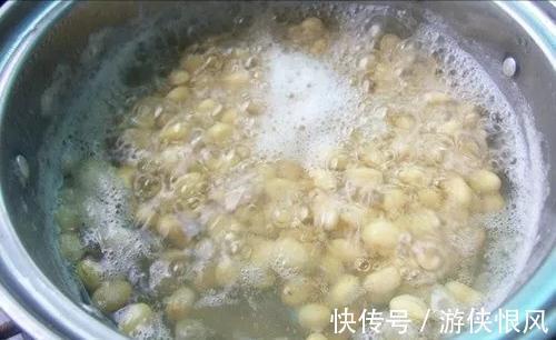 瓜子|君子兰喂点“小零食”,叶片杠杠厚,花箭拔的高,开花大又艳