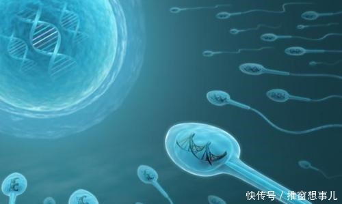 磷酸钙|20条意想不到的冷知识,莎士比亚的女儿竟然是文盲