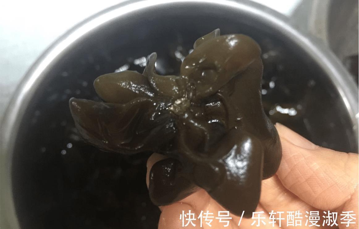 天气转凉,多给家人喝这汤,食材丰富营养好,补血益气,安稳入秋