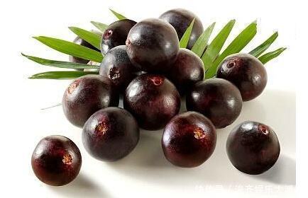 能量|世界上几种“超级能量水果”,抗老效果极佳