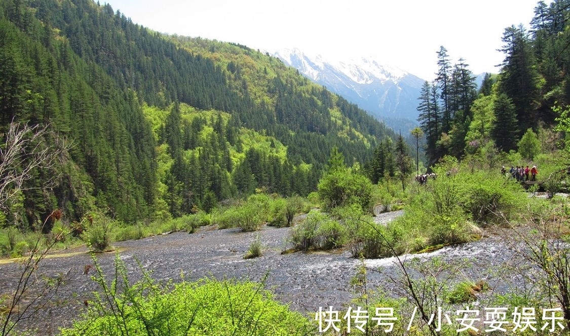 五花海|九寨沟的海，瀑布连环，归来不看水