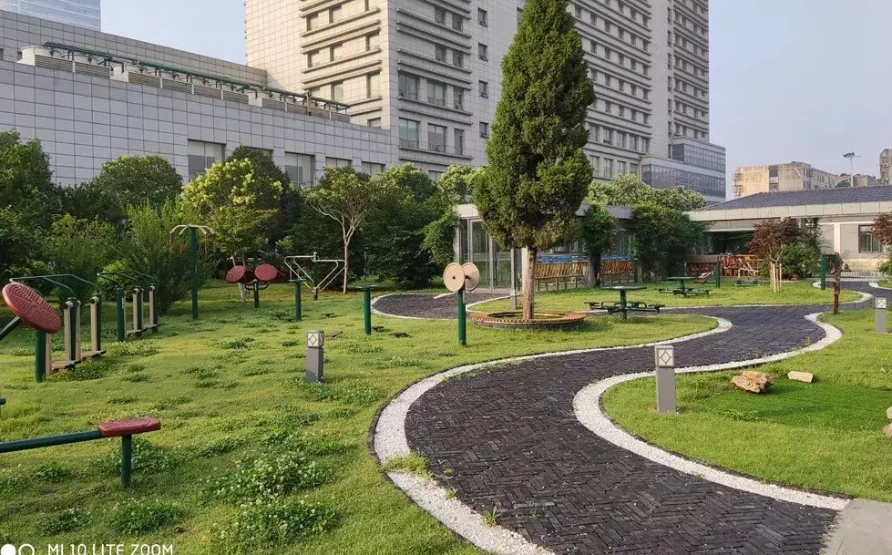 老年|连二医老年医学科收到患者吴继强家属送来的锦旗