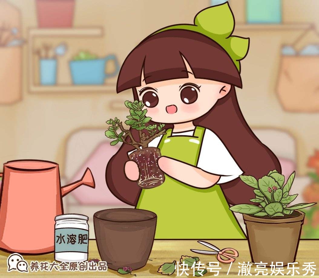 新芽|3种花马上要“醒了”,抓住时机养护,秋天呼呼冒新芽