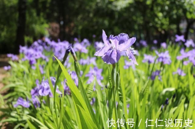 美好的时光!教人知道已春深,十首春深的诗词,去珍惜春天的每一寸时光!