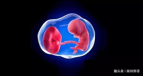 宝宝|孕妈感觉胎儿踢肚子一般有3种情况,第三个说明宝宝在“求救”