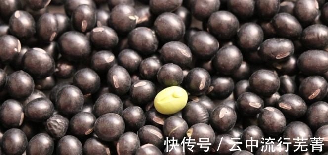 冬天到了,吃黑豆有什么用教你1个简单做法,涨知识了!