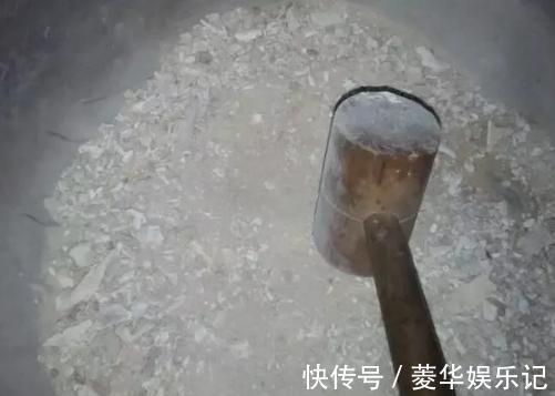 养君子兰、长寿花,盆里撒点“万能肥”,新芽猛长,呼呼开花!