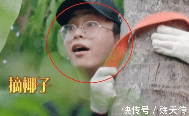 向往的生活|向往的生活何炅阻止彭昱畅上树,听清喊话内容,这才是真正威严