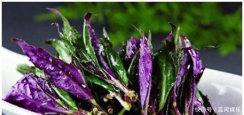 乡下一种野草，人称观音菜，价值珍贵，营养丰富，药用价值高