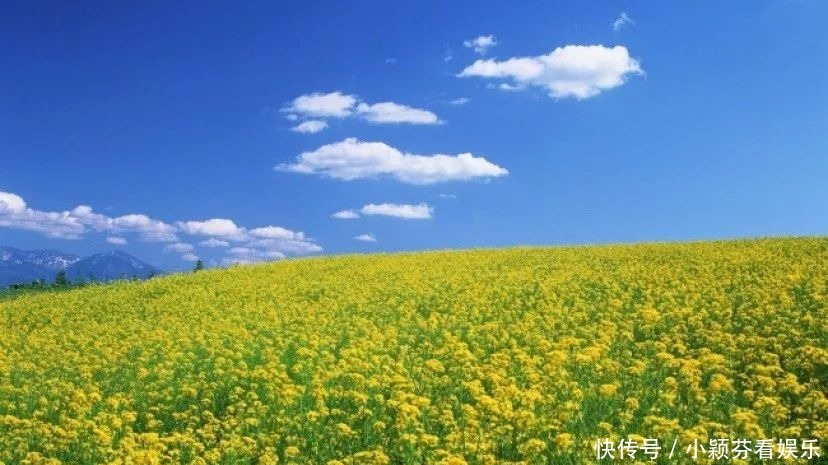 一首《可可托海的牧羊人》唱响春晚,让伊犁惊艳了全世界!