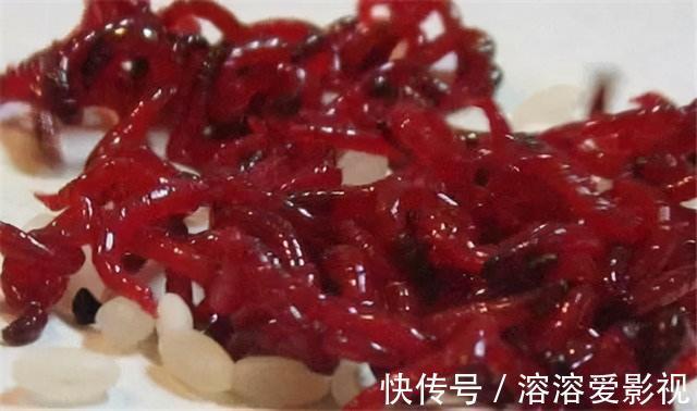 味型|除了麦粒和蚯蚓，这几种饵料，用来野钓鲫鱼，中钩都是大鲫鱼