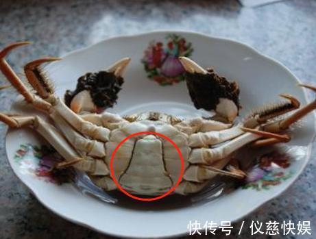 蒸螃蟹|蒸螃蟹时,用冷水还是热水?从前没注意,难怪蟹黄外流,肉不鲜美