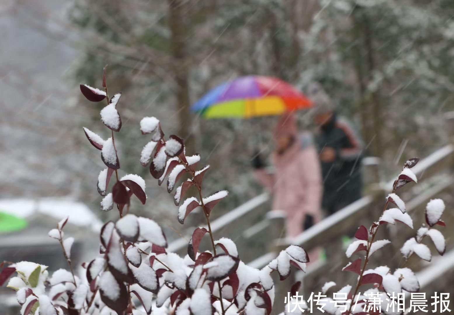 李姝|浪漫黄龙洞：姑娘穿民族服饰雪中起舞