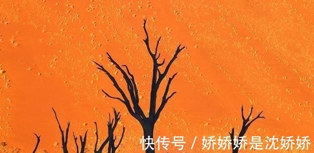 经验主义#你的眼睛捉弄了你，24张难以置信的照片