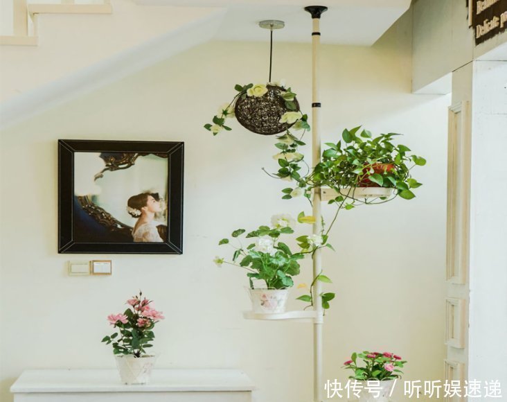 阳台很小，养不了太多花？巧用6个小方法，多养3倍还不止