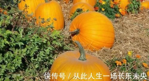 升脂|世卫组织:3种蔬菜,已被拉入“升脂”名单,在生活中尽量少吃