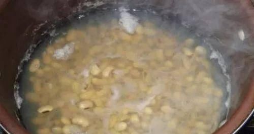红砖|养蟹爪兰时先养根，盆里埋点这种东西，根系更旺，开花更多