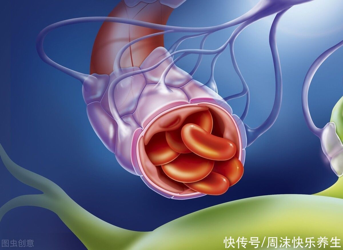 血脂|高血脂了34年,血管依旧柔软,血脂平稳,医生:4件事值得学习