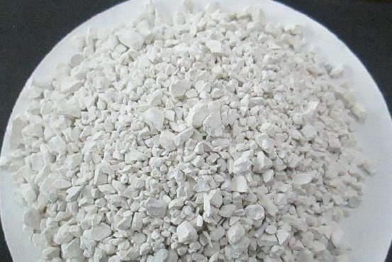 营养|哪些食物是营养冠军?它们看起来普通却营养丰富!一起了解一下