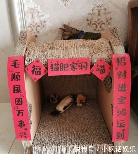 鸭鸡!虎年,被邻居家的春联,笑到肚子疼!