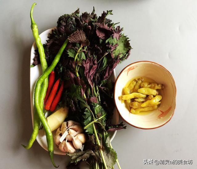 它是“水中人参”，味道鲜美营养高，简单烧一烧，全家一起补身体