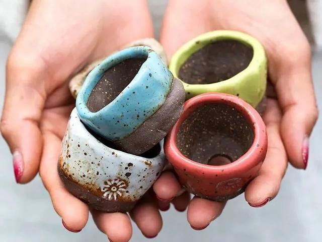 家里养盆虎皮兰，小花盆、挤着养，疯狂开花爆小崽！