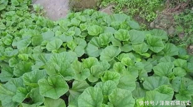 七律|王维最经典的七律,第二联是千古名句