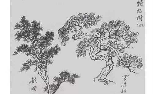 竹林!中国画如何画松树、丛树、柳树、竹林,中国画树的画法大全