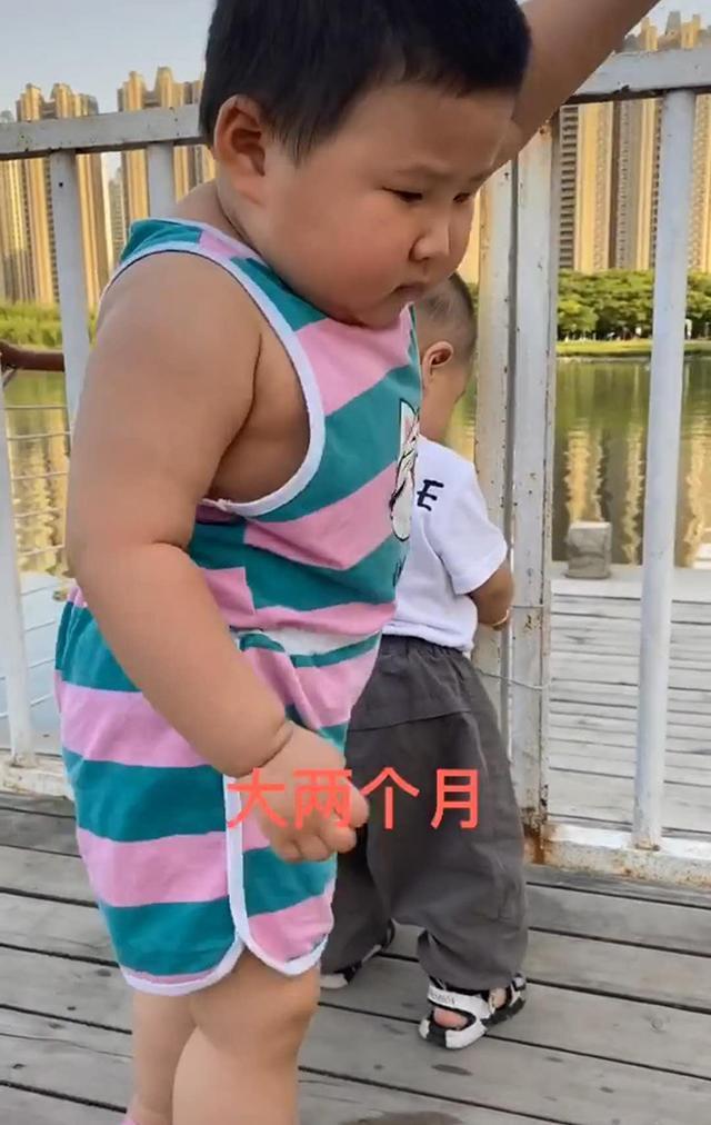 孩子|两个同龄宝宝相遇,体型差距让宝妈难以置信,网友完全是S和L