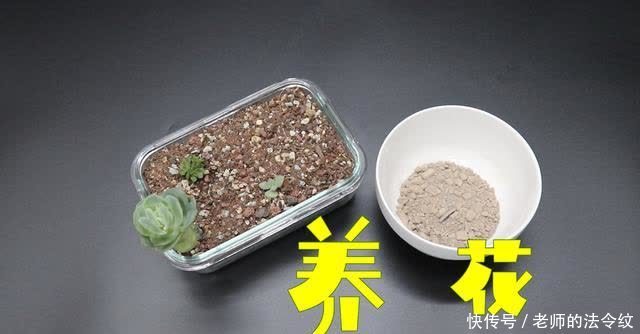 妙用|蚊香灰的妙用，蚊香灰的作用，直接倒掉太浪费了