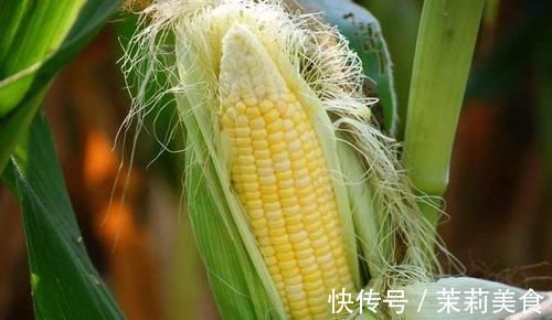 玻尿酸|女人不想老, 这些食物要多吃, 补充胶原蛋白, 恢复年轻好气色!