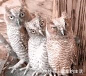 屁民们 小马哥变身超级带货王,同款T恤成爆款!