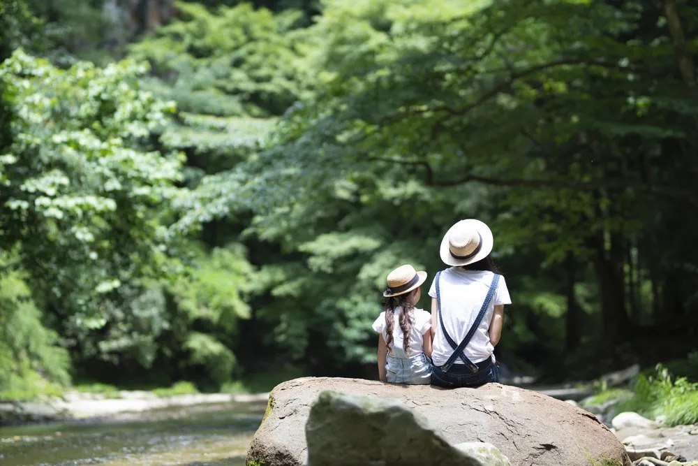 心里的声音|最高级的家庭教育,是教会孩子这8件事