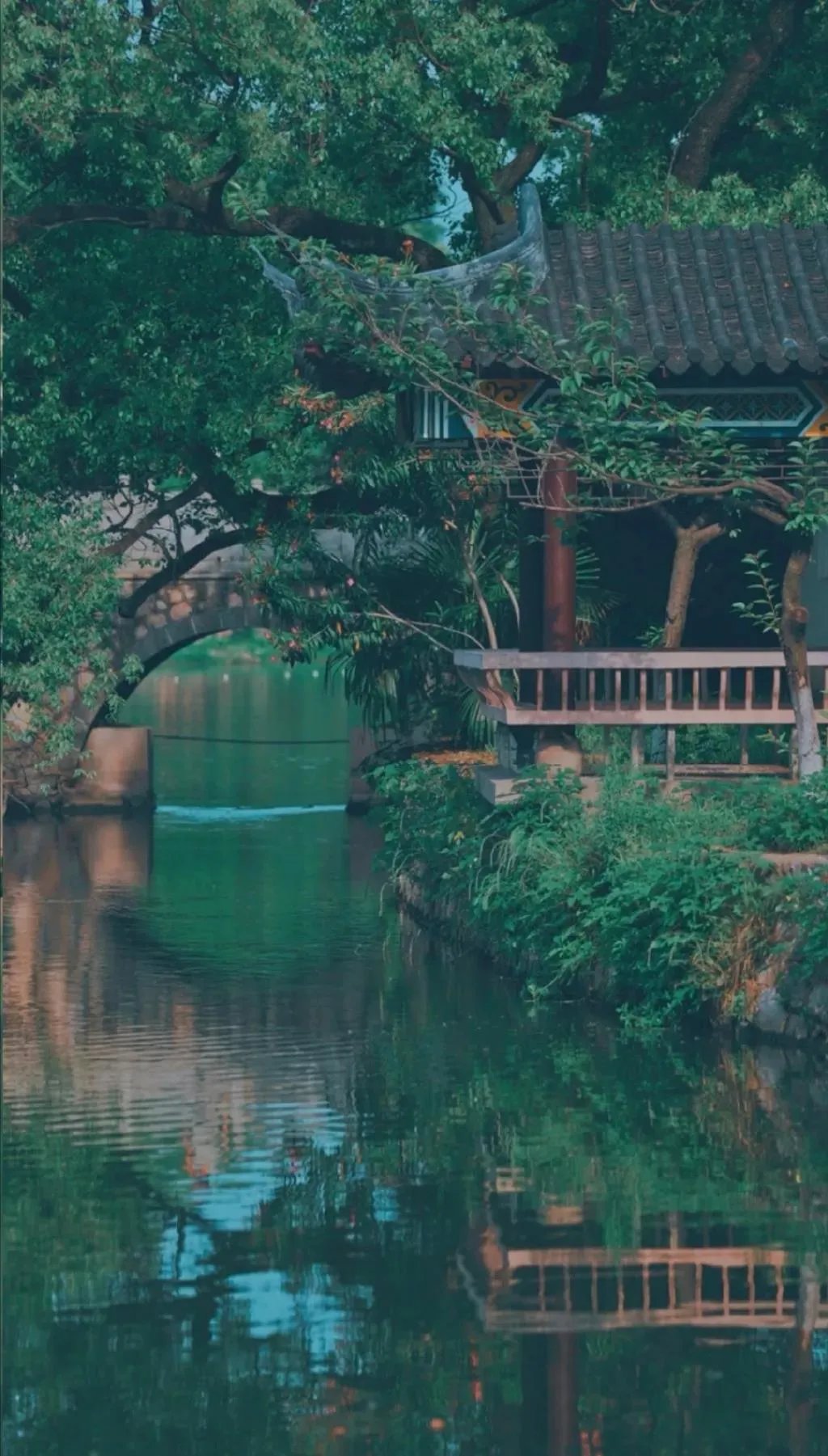 黄鹂深树鸣|韦应物，独怜幽草涧边生