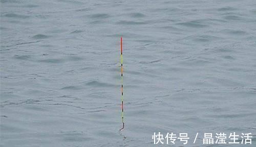 小鱼|手竿速钓白条好方法,牢记这些要点,白条连竿上,狂拉到手酸!