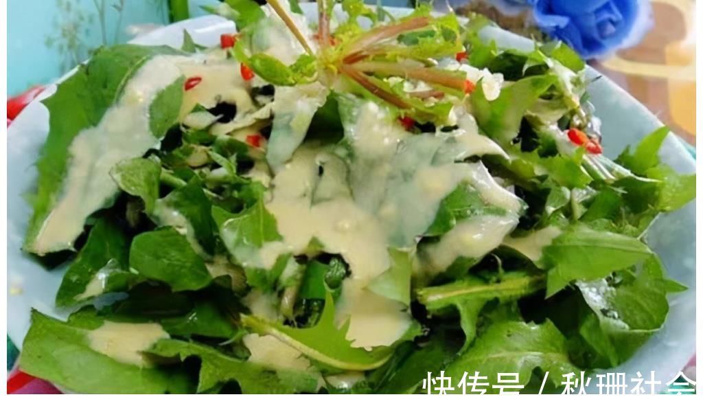 野菜|86岁老婆婆告诉我，刺儿菜用水煮一煮，想不到这么厉害，望你重视