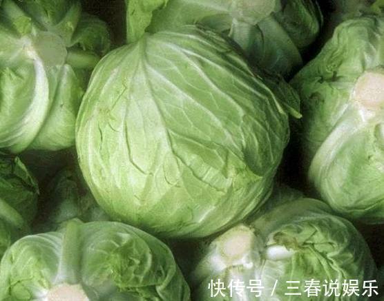 维生素u|爱吃卷心菜的人当心了,它的这个特性值得知道,赶紧告诉家里人
