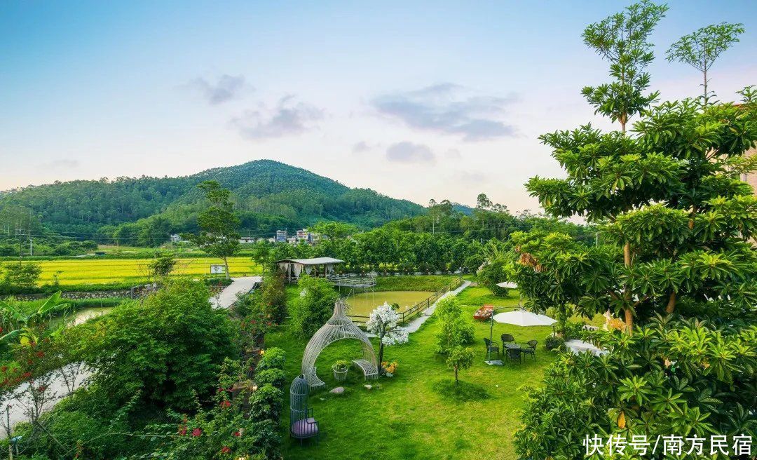 增城|广州自驾1h，藏在增城这座稻田里的花园网红民宿，带娃野餐丨柒舍